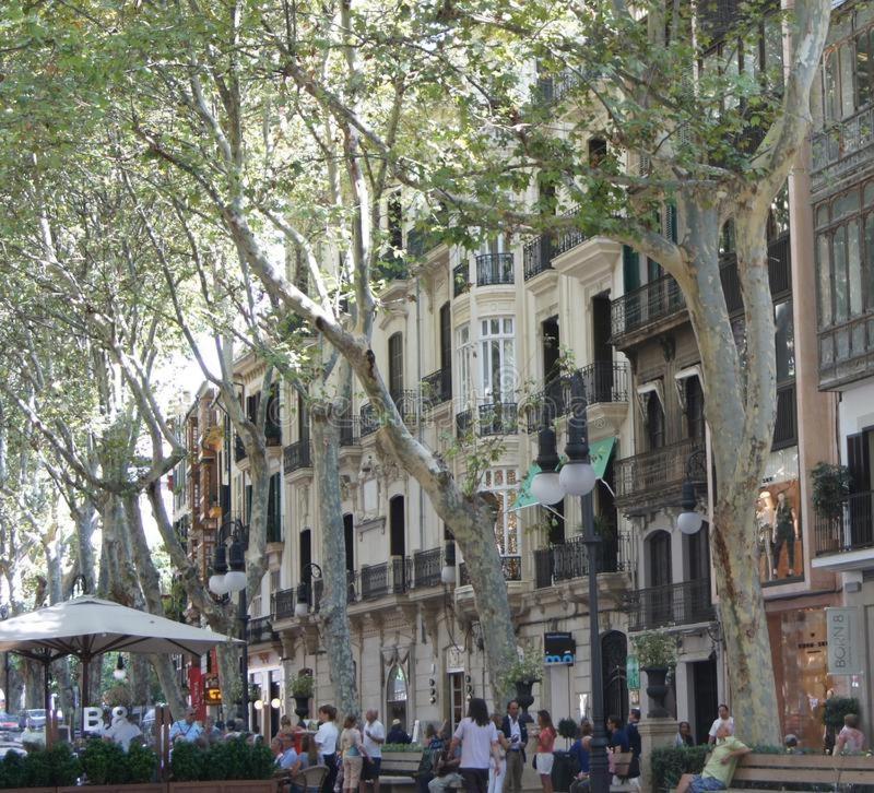 Rambla Center * Palma de Maiorca